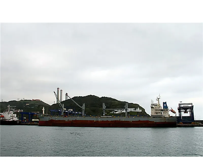 WESTERN SANTOS Bulk Carrier IMO 9707417 photo 4