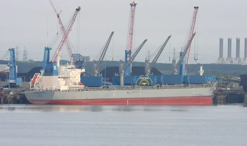 WESTERN SANTOS Bulk Carrier IMO 9707417 photo 8