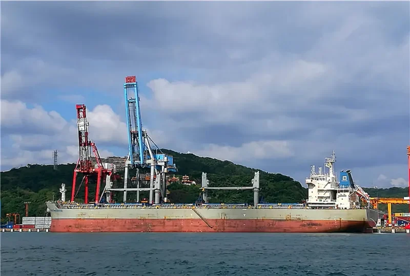 WESTERN SANTOS Bulk Carrier IMO 9707417 photo 10