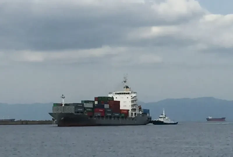 PEGASUS PETA Container Ship IMO 9707522 photo 4