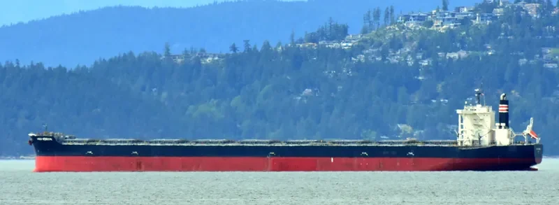 HISUI HORIZON Bulk Carrier IMO 9707546 photo 4