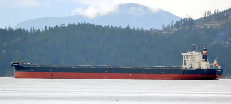 HISUI HORIZON Bulk Carrier IMO 9707546 photo 6