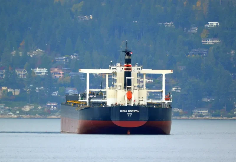 HISUI HORIZON Bulk Carrier IMO 9707546 photo 7