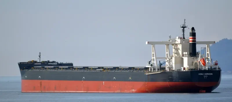 HISUI HORIZON Bulk Carrier IMO 9707546 photo 9