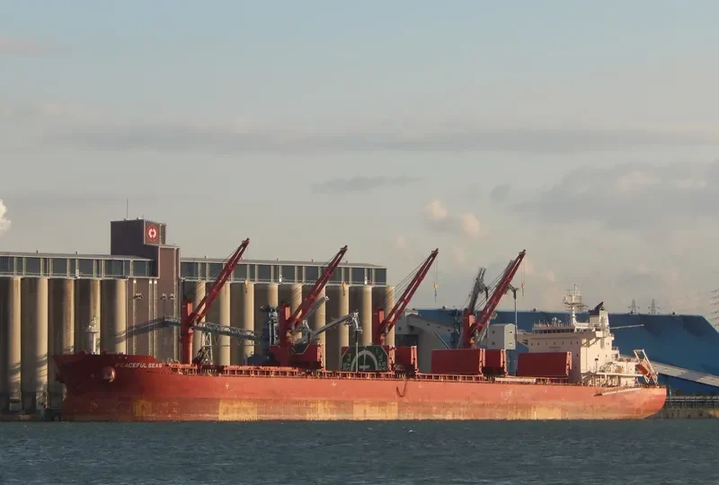 PEACEFUL SEAS Bulk Carrier IMO 9707584