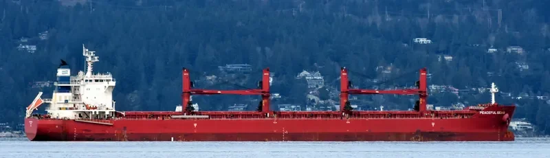 PEACEFUL SEAS Bulk Carrier IMO 9707584 photo 2