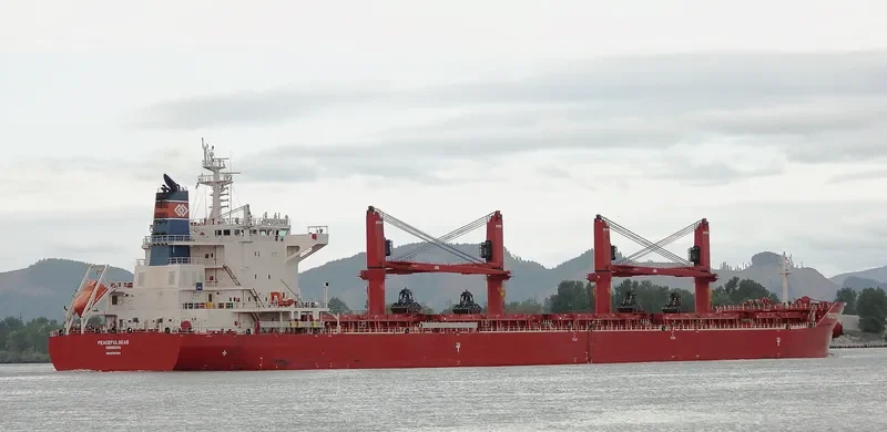 PEACEFUL SEAS Bulk Carrier IMO 9707584 photo 4