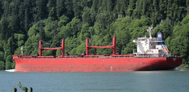 PEACEFUL SEAS Bulk Carrier IMO 9707584 photo 5