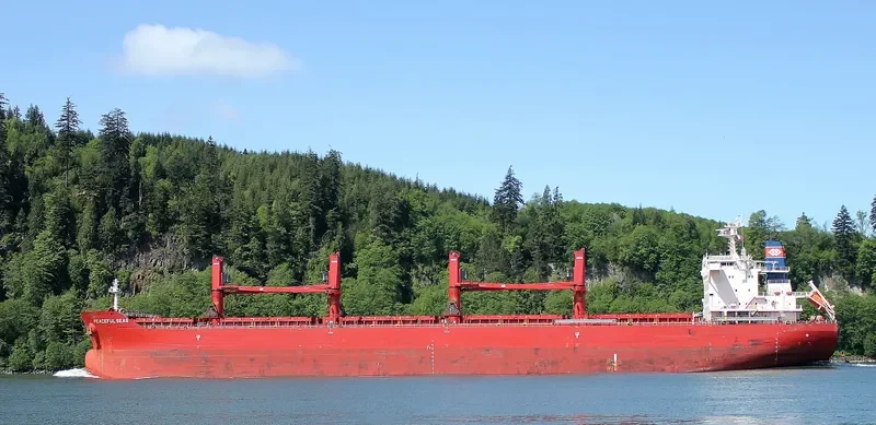 PEACEFUL SEAS Bulk Carrier IMO 9707584 photo 6