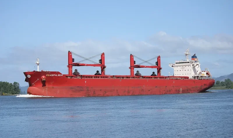 PEACEFUL SEAS Bulk Carrier IMO 9707584 photo 7