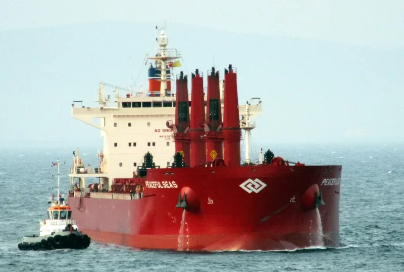 PEACEFUL SEAS Bulk Carrier IMO 9707584 photo 9