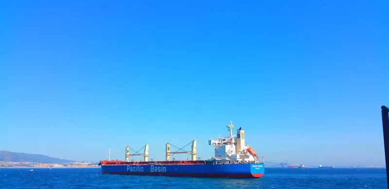 KELLETT ISLAND Bulk Carrier IMO 9707625 photo 5