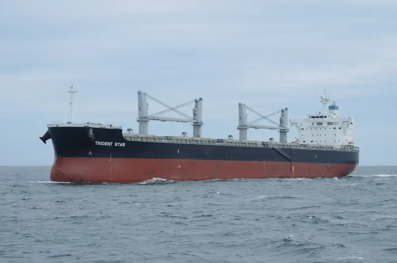 TRIDENT STAR Bulk Carrier IMO 9707637 photo 2