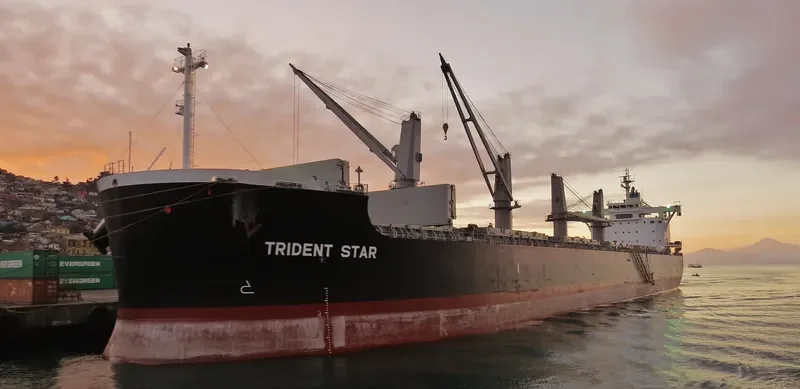 TRIDENT STAR Bulk Carrier IMO 9707637 photo 3