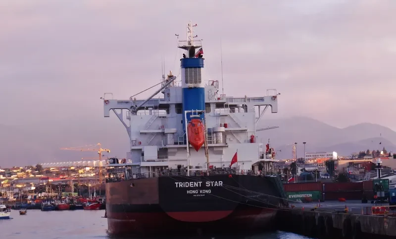 TRIDENT STAR Bulk Carrier IMO 9707637 photo 4