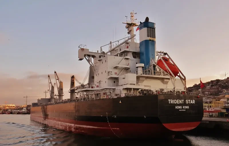 TRIDENT STAR Bulk Carrier IMO 9707637 photo 5