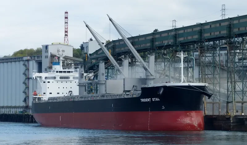 TRIDENT STAR Bulk Carrier IMO 9707637 photo 6