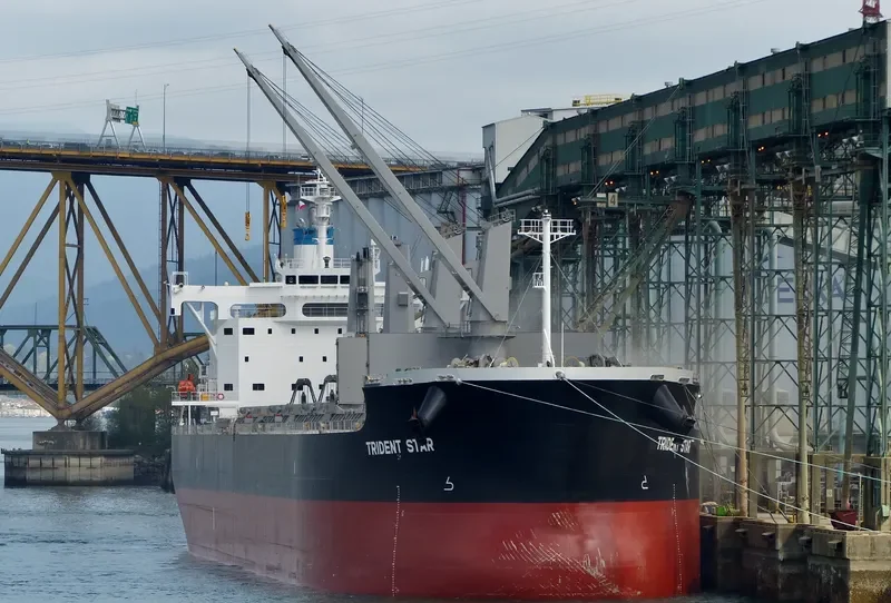 TRIDENT STAR Bulk Carrier IMO 9707637 photo 7