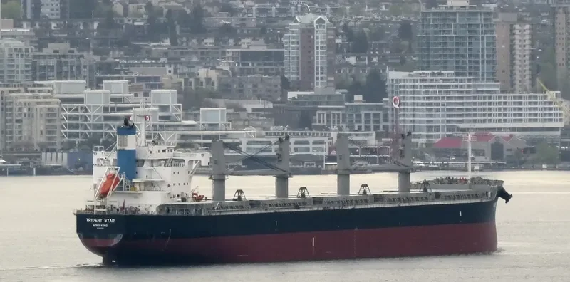 TRIDENT STAR Bulk Carrier IMO 9707637 photo 8