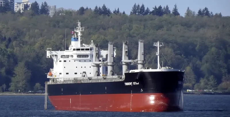 TRIDENT STAR Bulk Carrier IMO 9707637 photo 9
