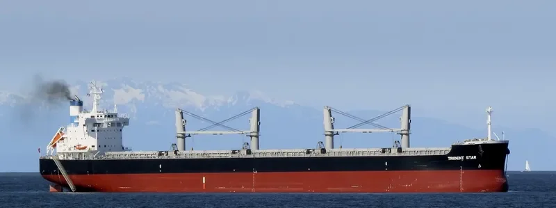 TRIDENT STAR Bulk Carrier IMO 9707637 photo 10