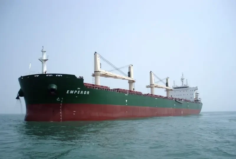 ERNEST VINBERG Bulk Carrier IMO 9707649 photo 2