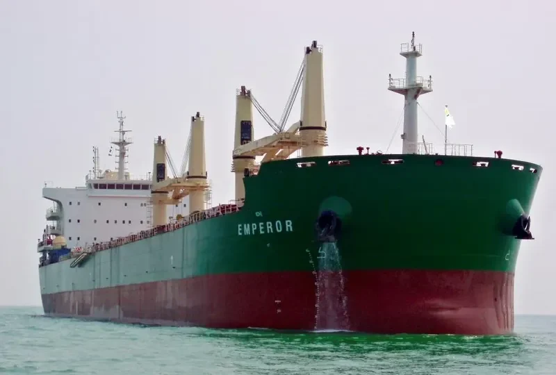ERNEST VINBERG Bulk Carrier IMO 9707649 photo 3