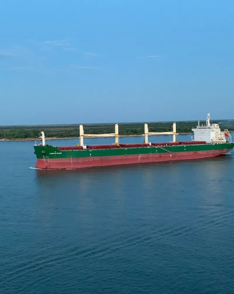 ERNEST VINBERG Bulk Carrier IMO 9707649 photo 4
