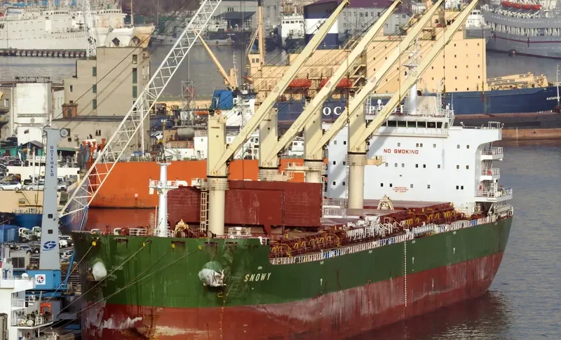 VALENTIN BUTUZOV Bulk Carrier IMO 9707651 photo 2