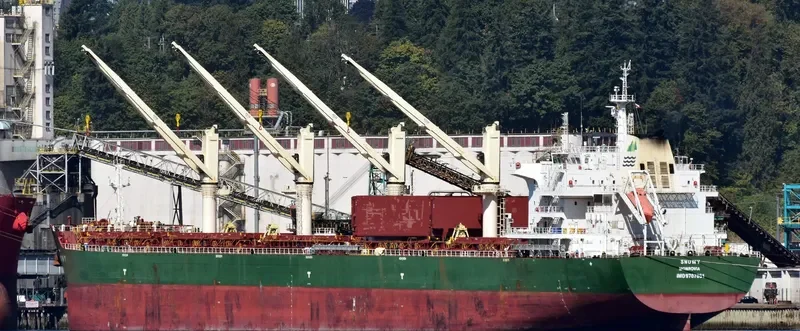 VALENTIN BUTUZOV Bulk Carrier IMO 9707651 photo 3