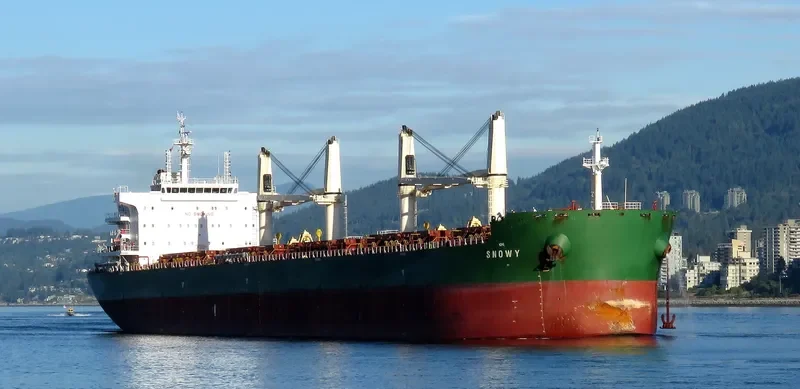 VALENTIN BUTUZOV Bulk Carrier IMO 9707651 photo 4