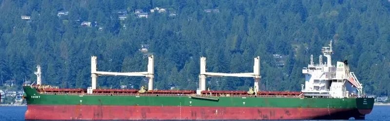 VALENTIN BUTUZOV Bulk Carrier IMO 9707651 photo 5