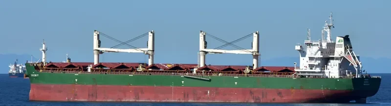 VALENTIN BUTUZOV Bulk Carrier IMO 9707651 photo 7