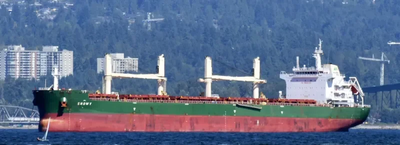 VALENTIN BUTUZOV Bulk Carrier IMO 9707651 photo 8