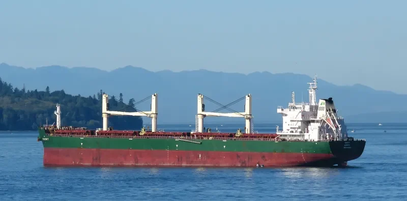 VALENTIN BUTUZOV Bulk Carrier IMO 9707651 photo 9