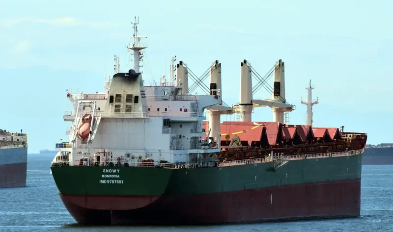 VALENTIN BUTUZOV Bulk Carrier IMO 9707651 photo 10