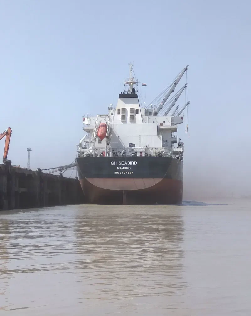 SEABIRD Bulk Carrier IMO 9707687
