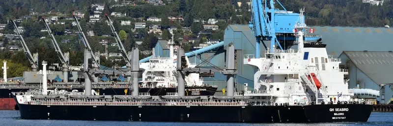 SEABIRD Bulk Carrier IMO 9707687 photo 2