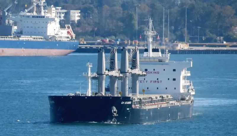 SEABIRD Bulk Carrier IMO 9707687 photo 3