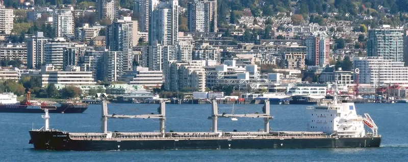 SEABIRD Bulk Carrier IMO 9707687 photo 4