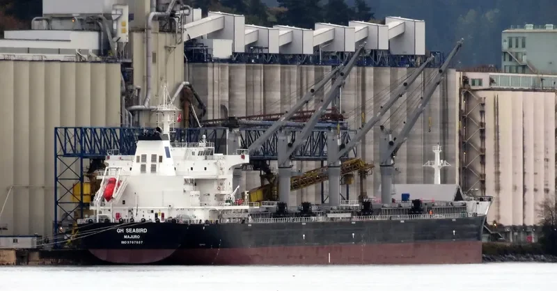 SEABIRD Bulk Carrier IMO 9707687 photo 5