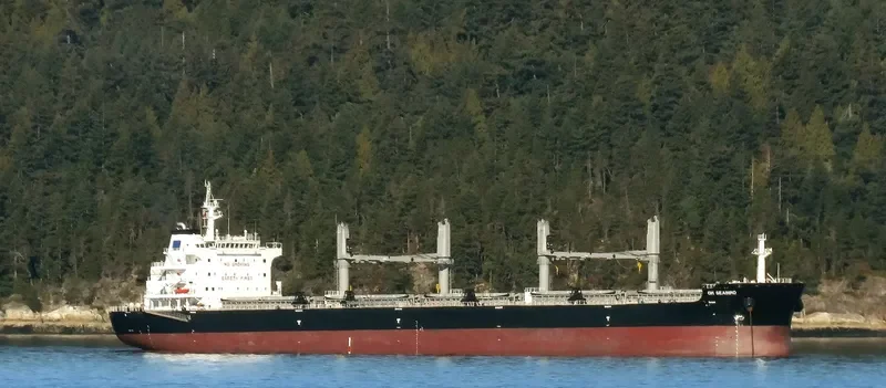 SEABIRD Bulk Carrier IMO 9707687 photo 6