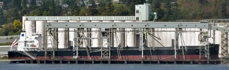 SEABIRD Bulk Carrier IMO 9707687 photo 7