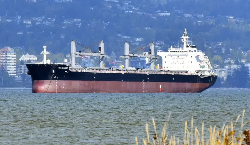 SEABIRD Bulk Carrier IMO 9707687 photo 8