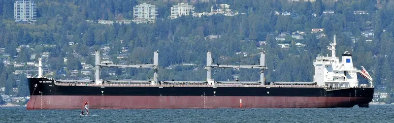 SEABIRD Bulk Carrier IMO 9707687 photo 9