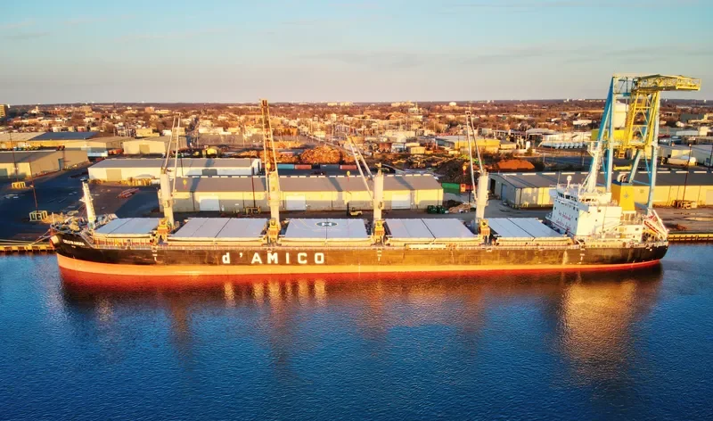 CIELO DI ANGRA Bulk Carrier IMO 9707742 photo 4