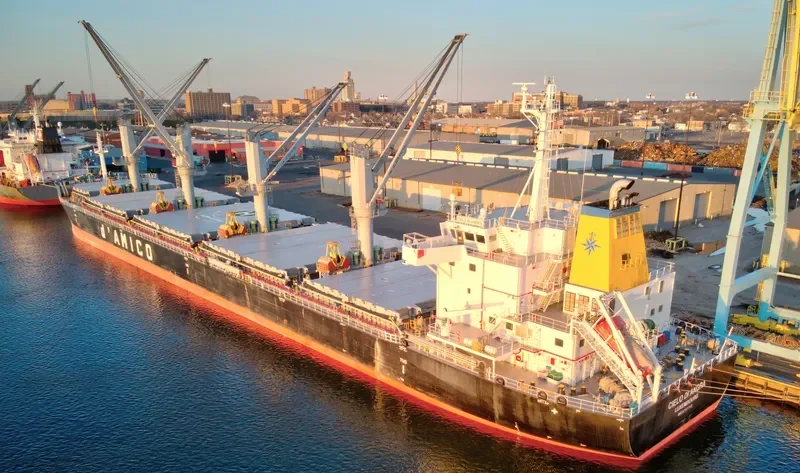CIELO DI ANGRA Bulk Carrier IMO 9707742 photo 6