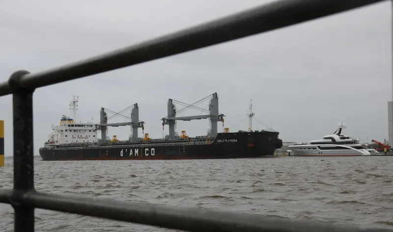CIELO DI ANGRA Bulk Carrier IMO 9707742 photo 8