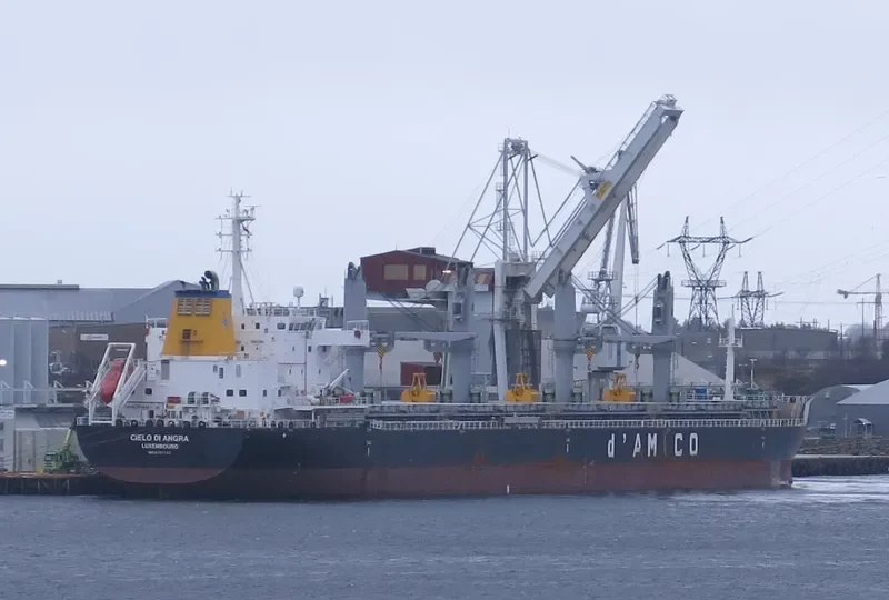 CIELO DI ANGRA Bulk Carrier IMO 9707742 photo 9