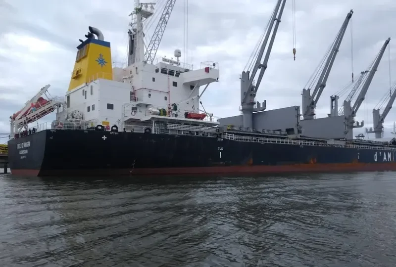 CIELO DI ANGRA Bulk Carrier IMO 9707742 photo 10